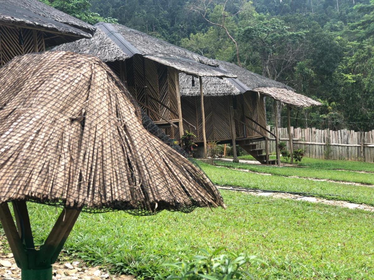 Backpacker'S Hill Resort San Vicente  Extérieur photo